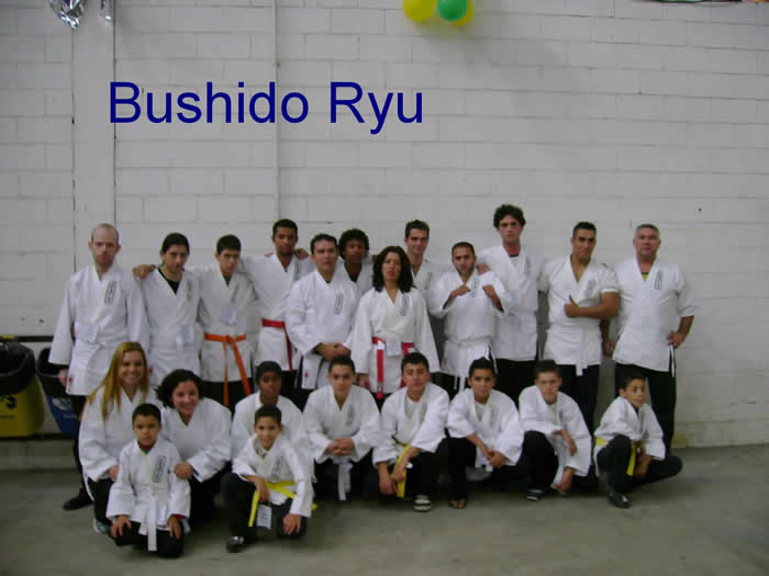 Equipe Bushido Ryu