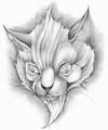 Gato Nivel 1