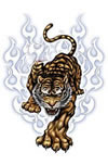 Tigre Nivel 4