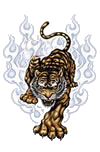 Tigre Nivel 4