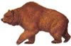Urso Nivel 2