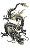 Dragão Nivel 5