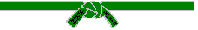 Alunos na Faixa Verde