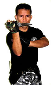 S.D.C - Sistema Din&acirc;mico de Combate
